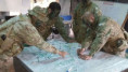 Nuevas maniobras del Ejército en el sur correntino